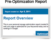 Pre-Optimization Report