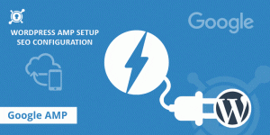 Accelerated Mobile Pages Setup Guide